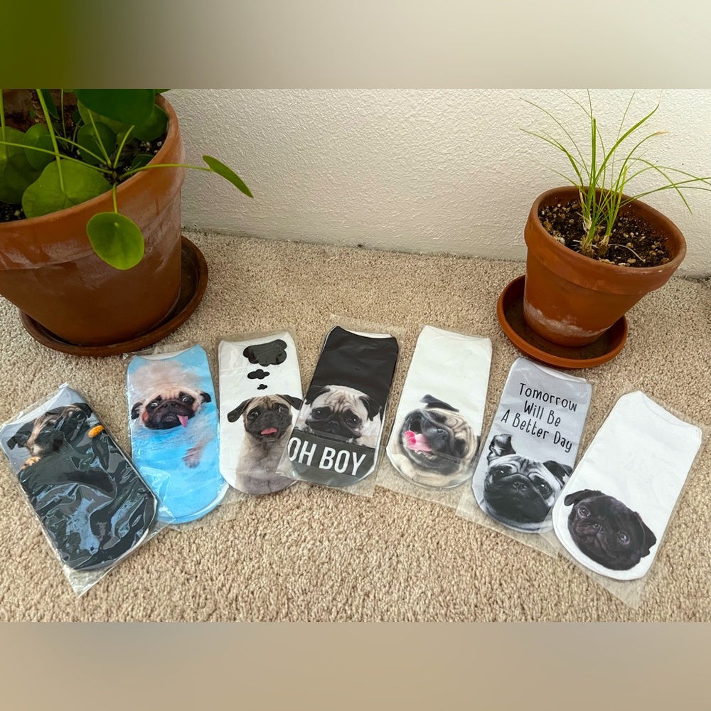 🐾Pug socks bundle BRAND NEW NWT